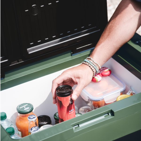 Автохолодтльник компрессорный Indel B Travel Box ITB52 12/24В